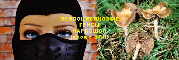 ГАЛЛЮЦИНОГЕННЫЕ ГРИБЫ Касимов